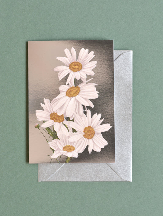 SILVER DAISIES GREETING CARD