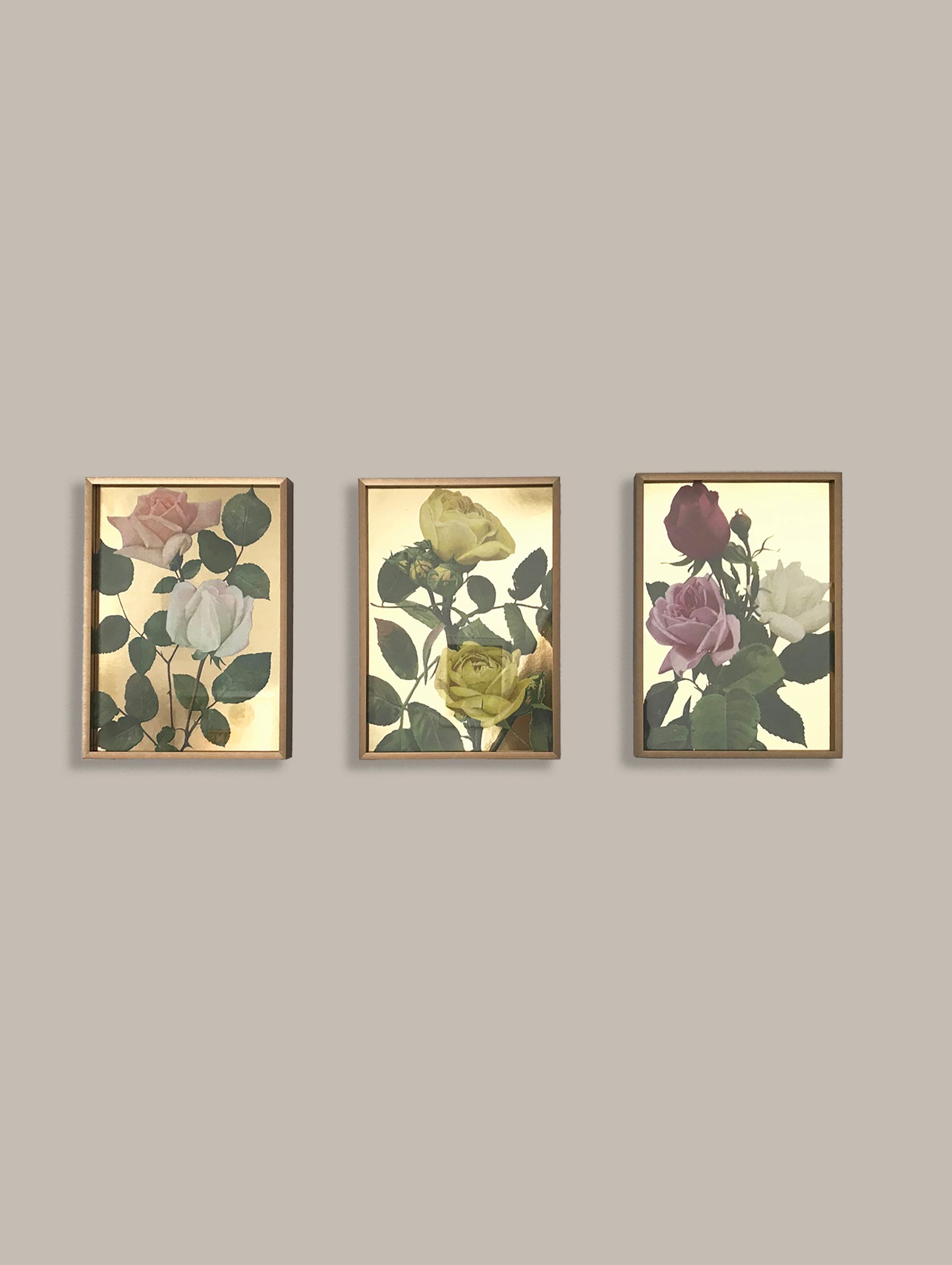 3 SET ROSE PRINTS