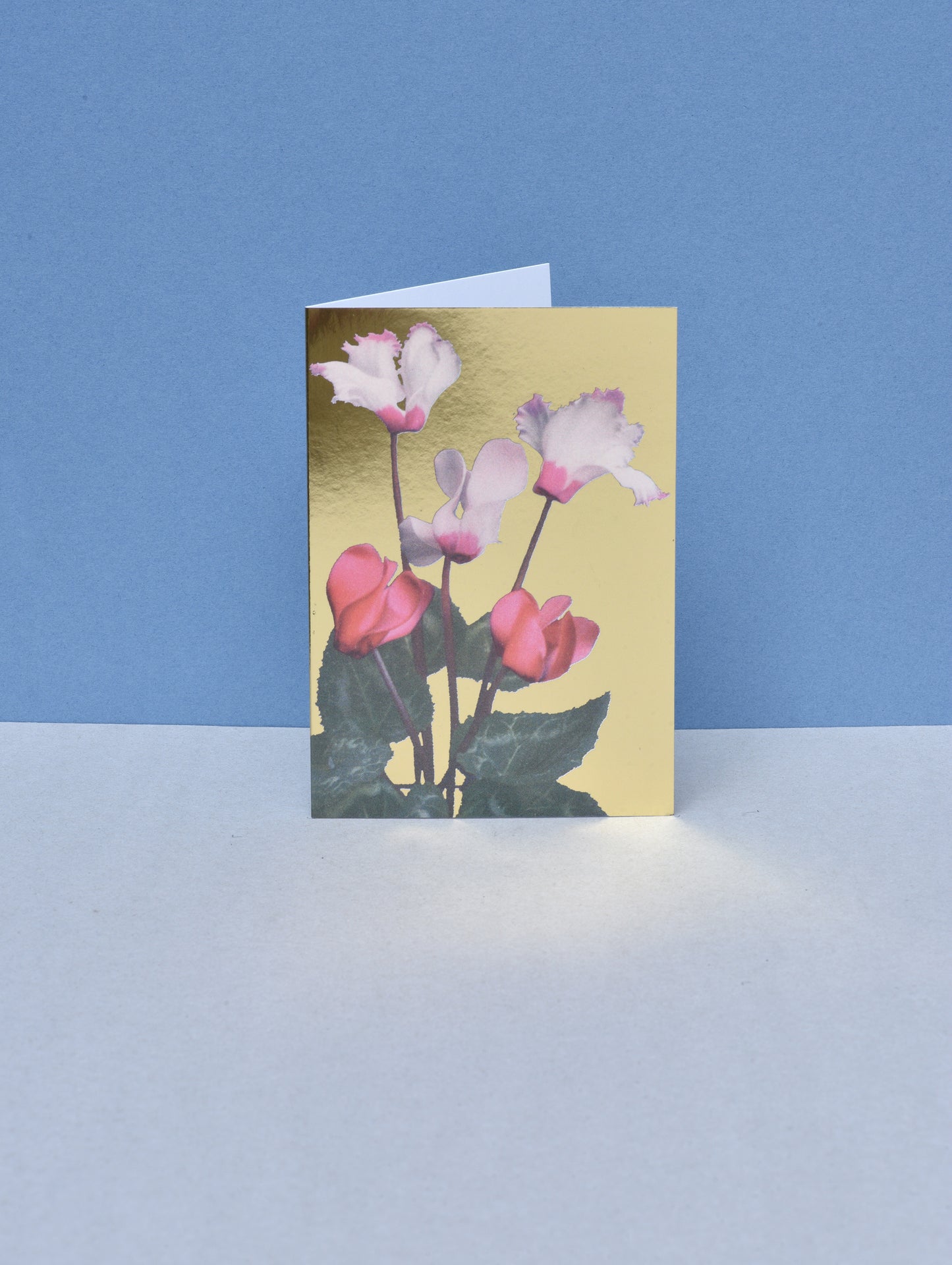 CYCLAMEN GREETING CARD