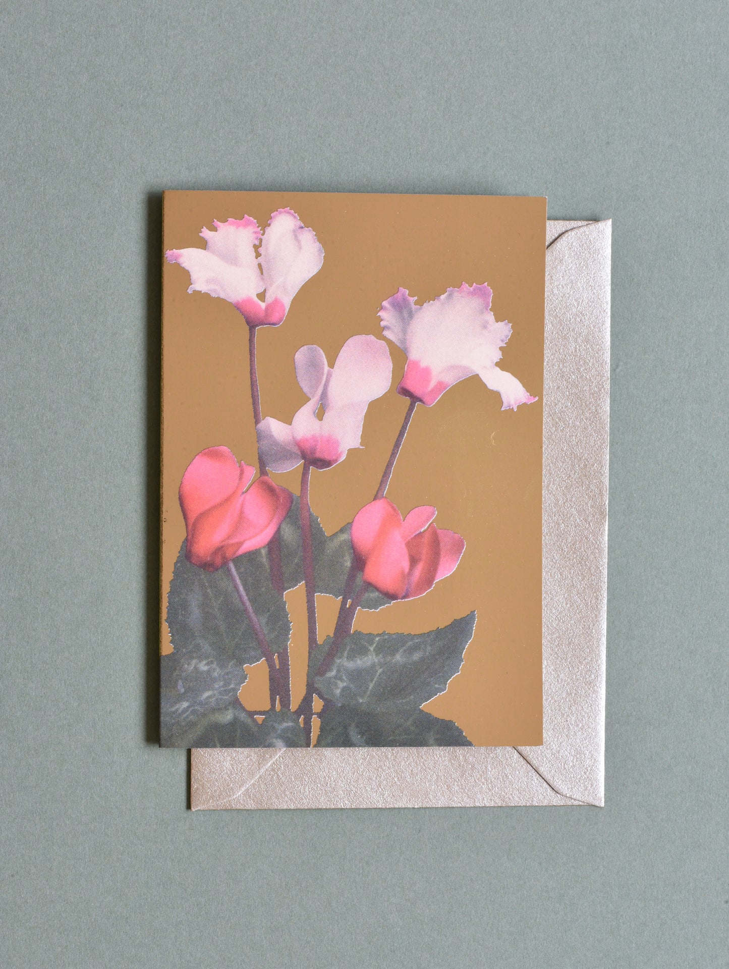 CYCLAMEN GREETING CARD