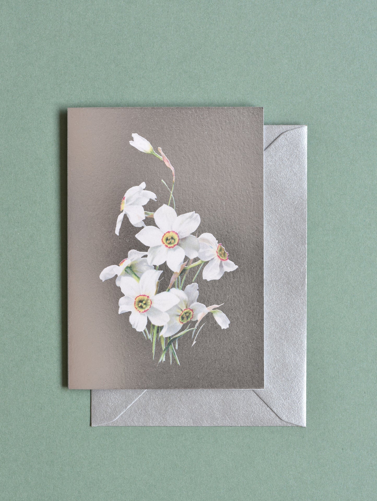 SILVER NARCISSUS GREETING CARD