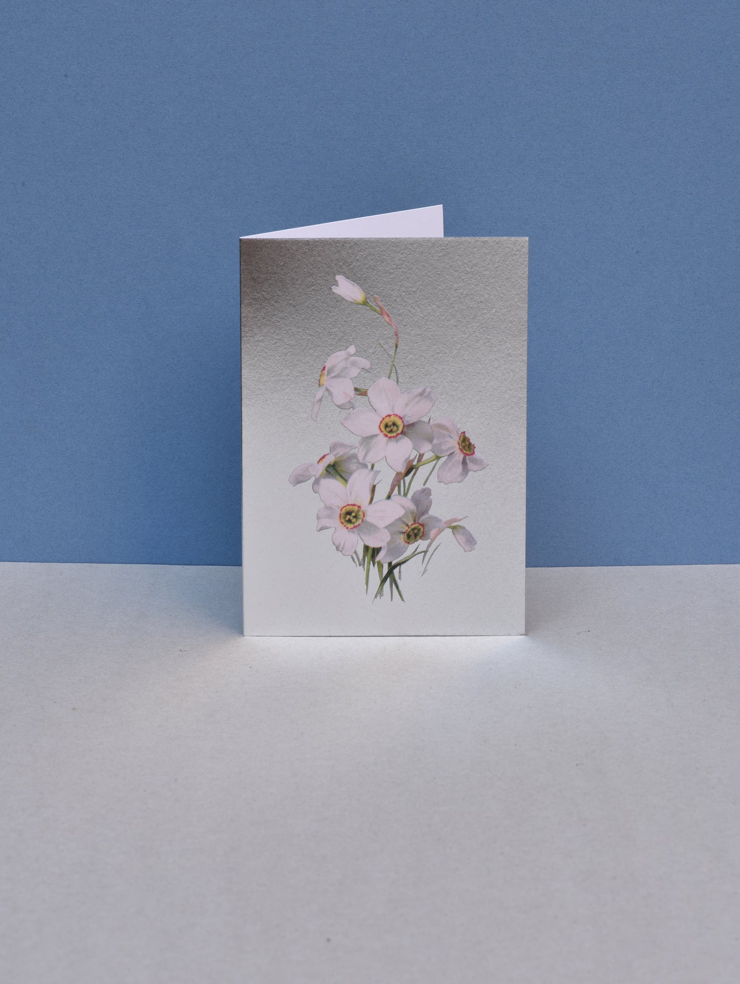 SILVER NARCISSUS GREETING CARD