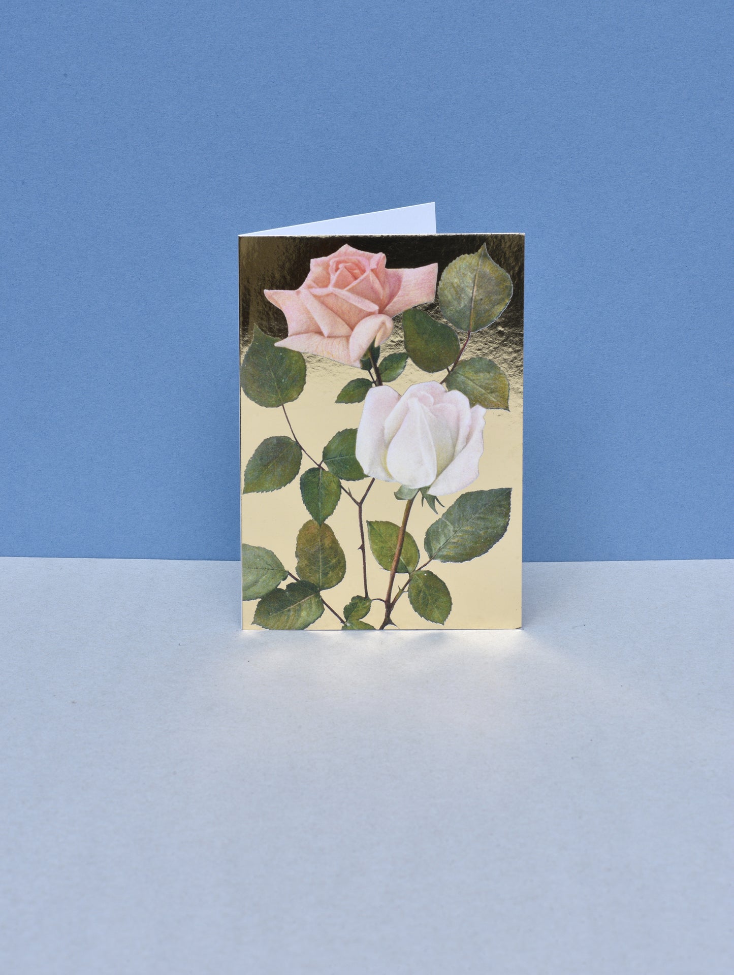 BLUSH ROSES GREETING CARD