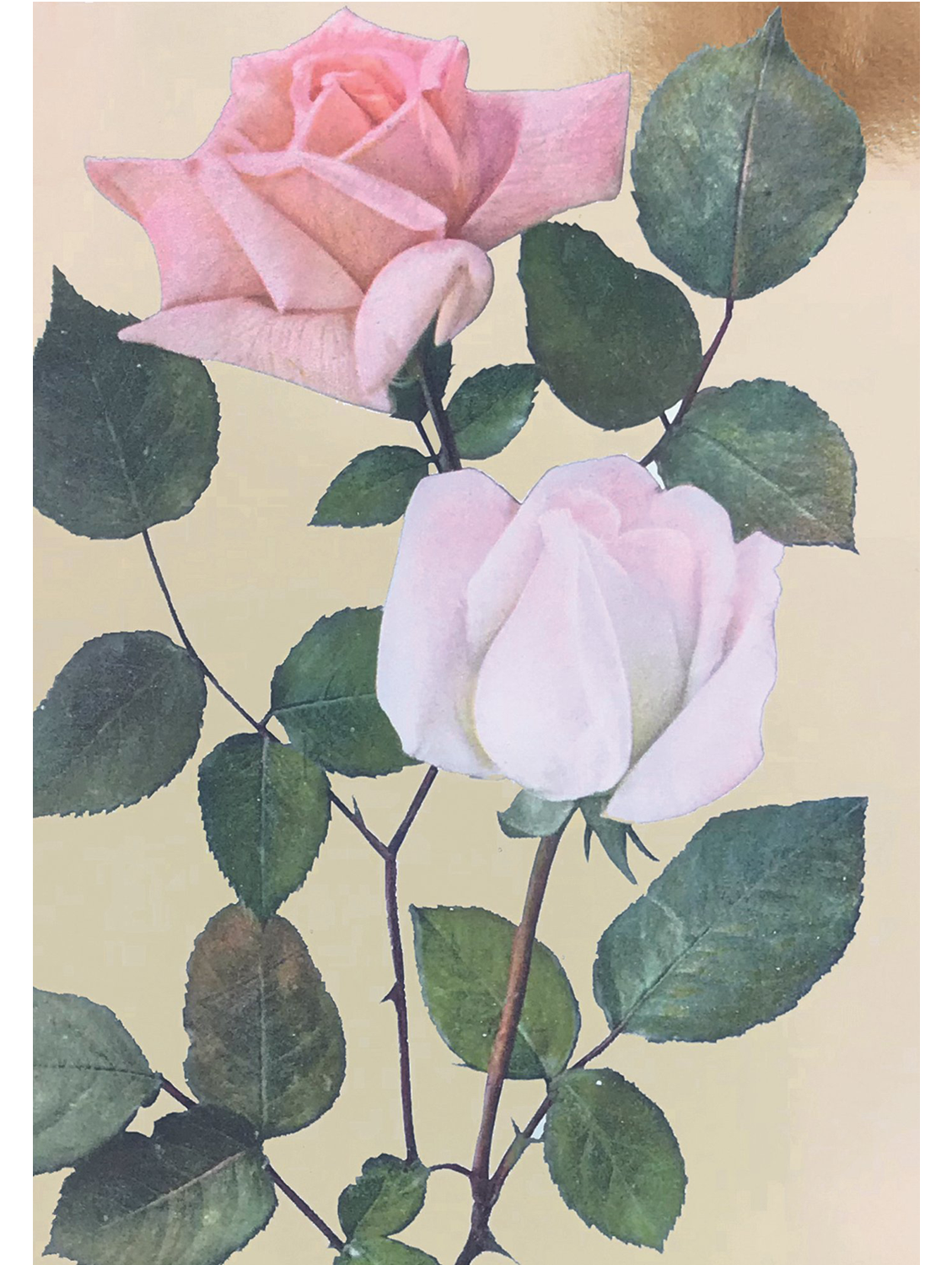 Vintage Rose print with gold foil