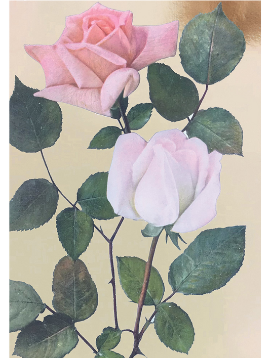 Vintage Rose print with gold foil