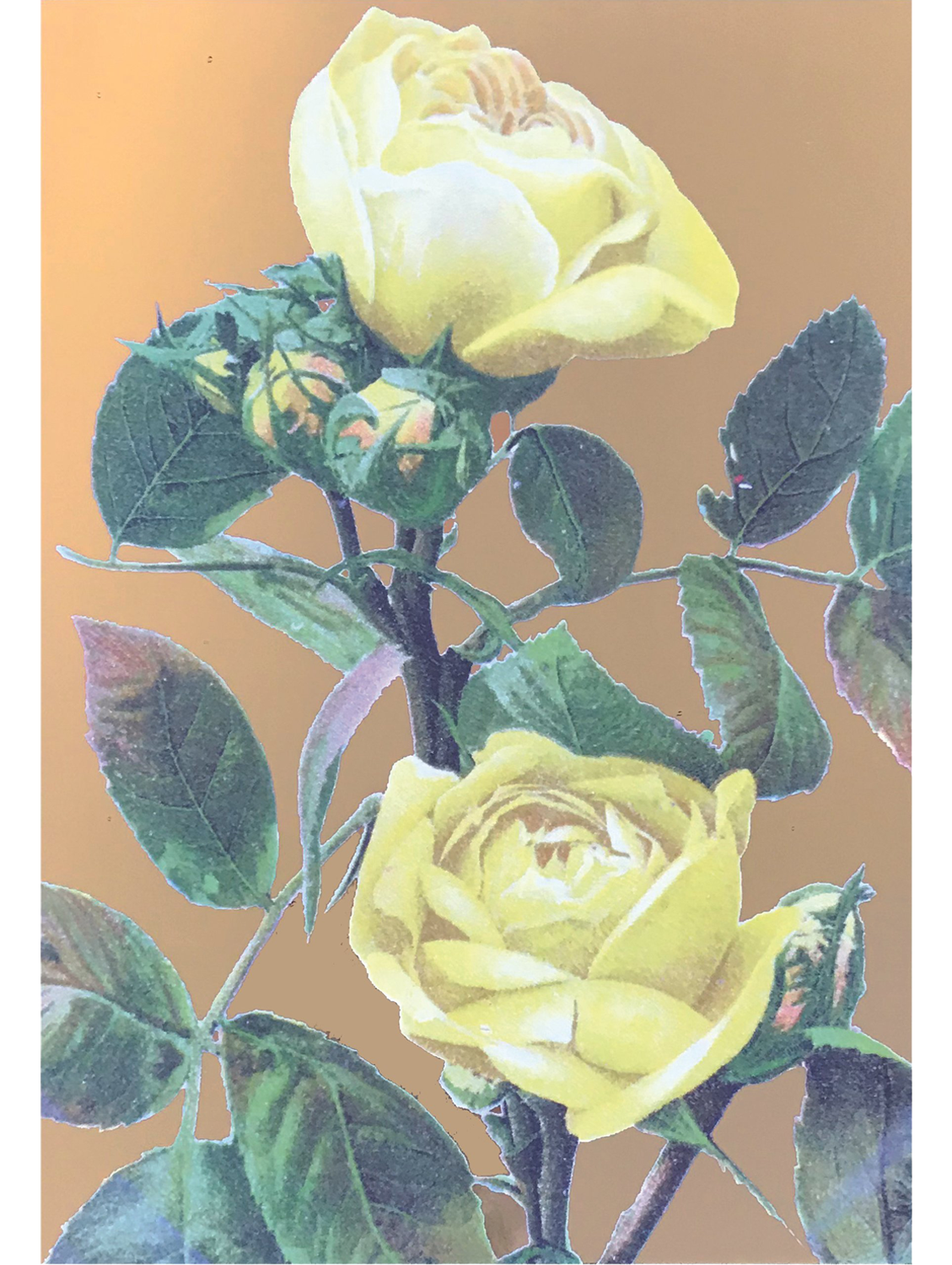 A4 YELLOW ROSES GOLD FOIL PRINT
