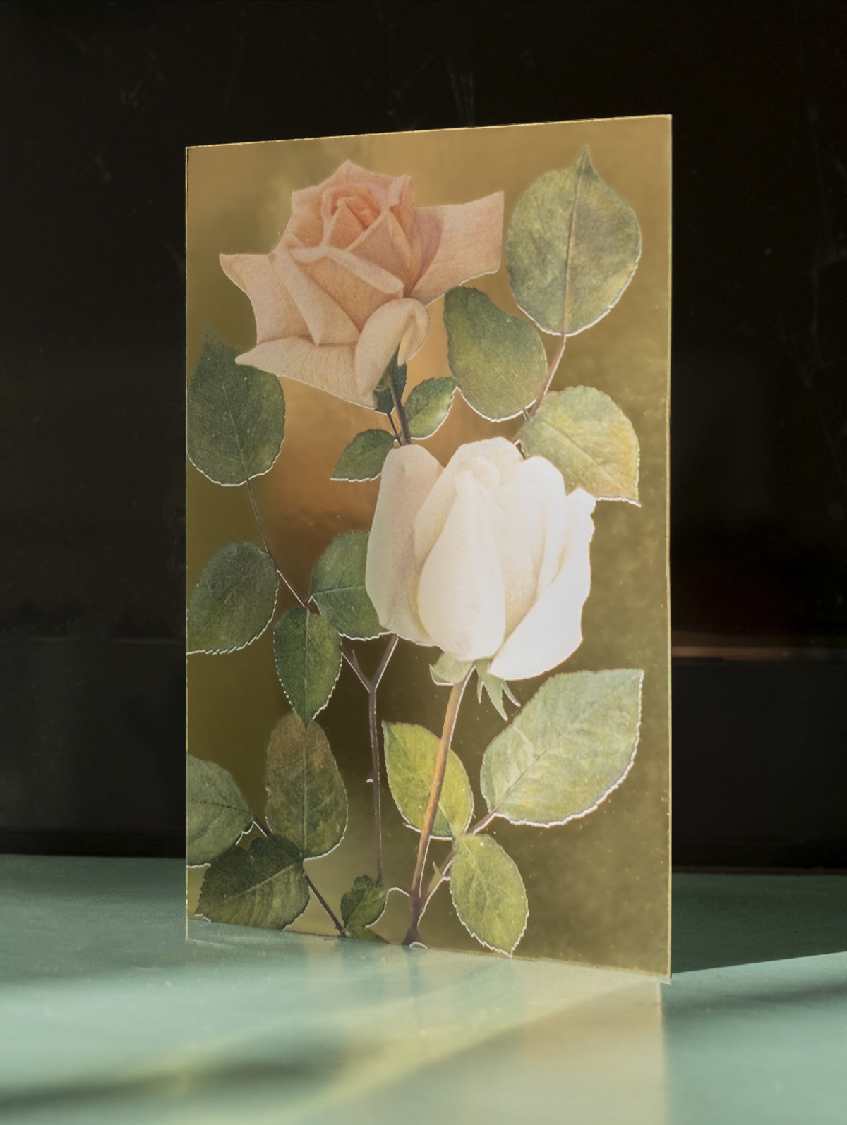 Blush roses greeting card